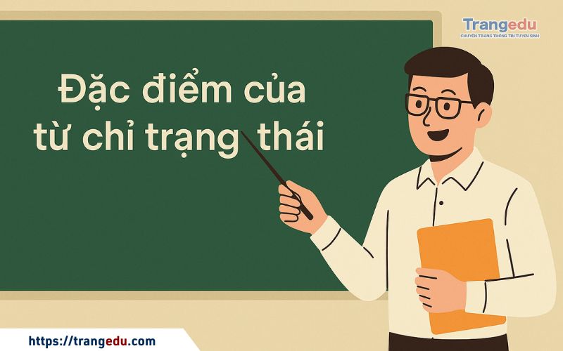 dac diem cua tu chi trang thai