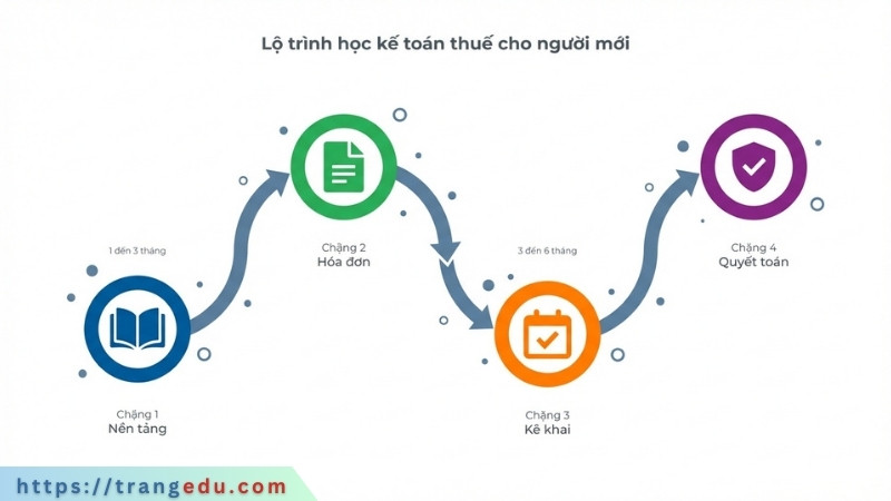 Lộ trình học kế toán thuế cho người mới