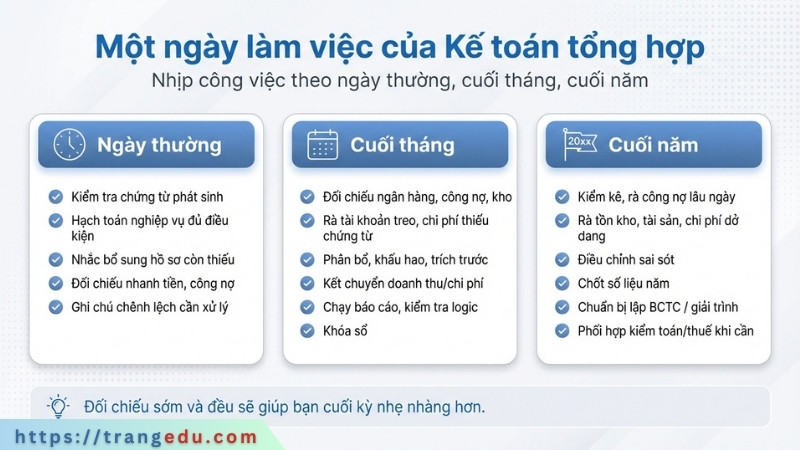Infographic nhịp công việc của kế toán tổng hợp